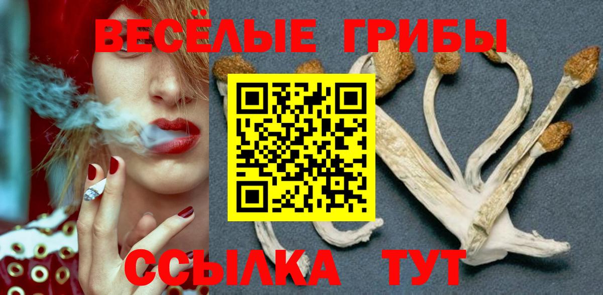 Галлюциногенные грибы GOLDEN TEACHER Куйбышев